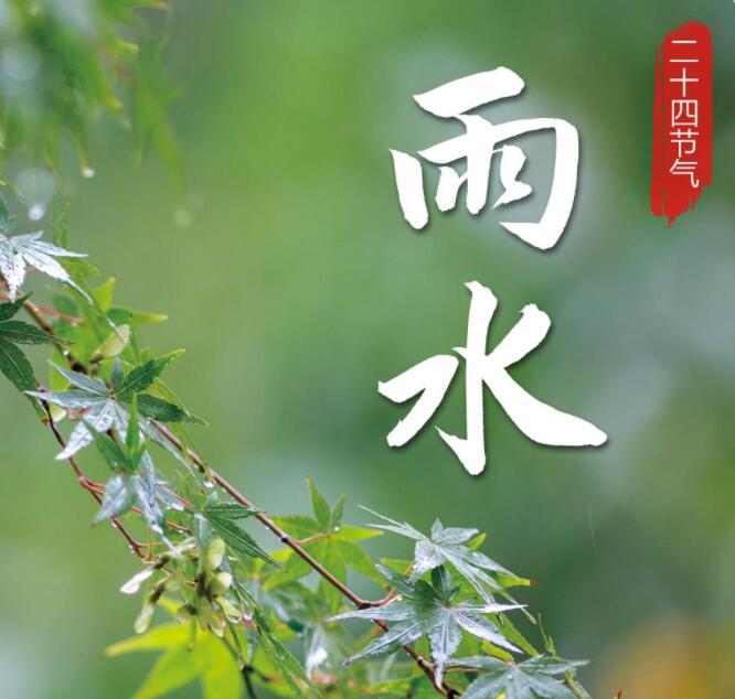 【山東桓藝數控】雨水丨一年春好處，風雨送春歸