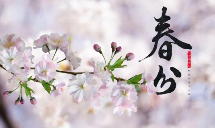 【山東桓藝數控】春分 | 生活明朗，萬物可愛